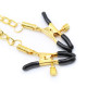 Four Nipple Clamps With Chain