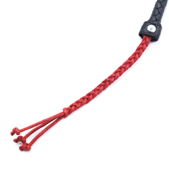 Chinese Style Handle Snake Whip