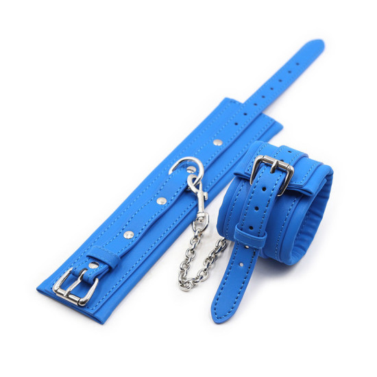 Blue Pin Locked Handcuffs