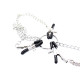 Nipple Clamps and Clit Clamp with Chain